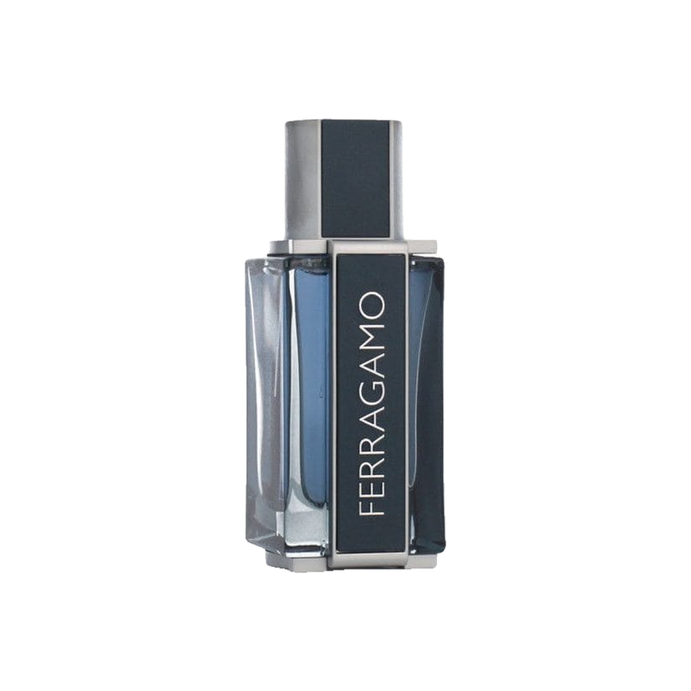 Salvatore Ferragamo Intense Leather