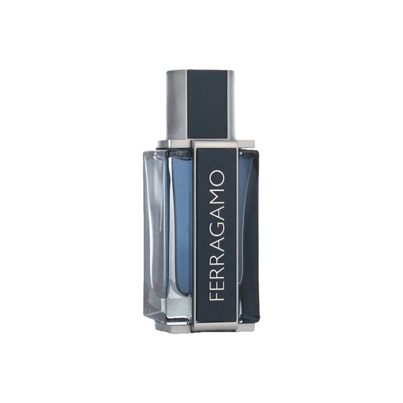 Salvatore Ferragamo Intense Leather