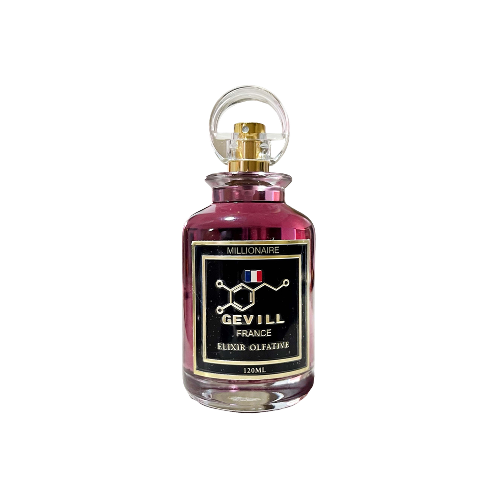 Gevill France Millionaire