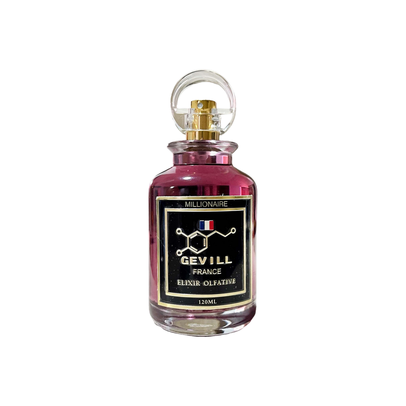 Gevill France Millionaire